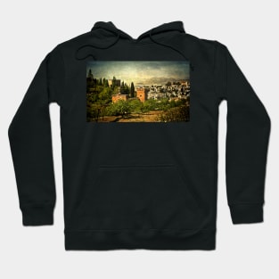 Granada From The Alhambra Gardens Hoodie